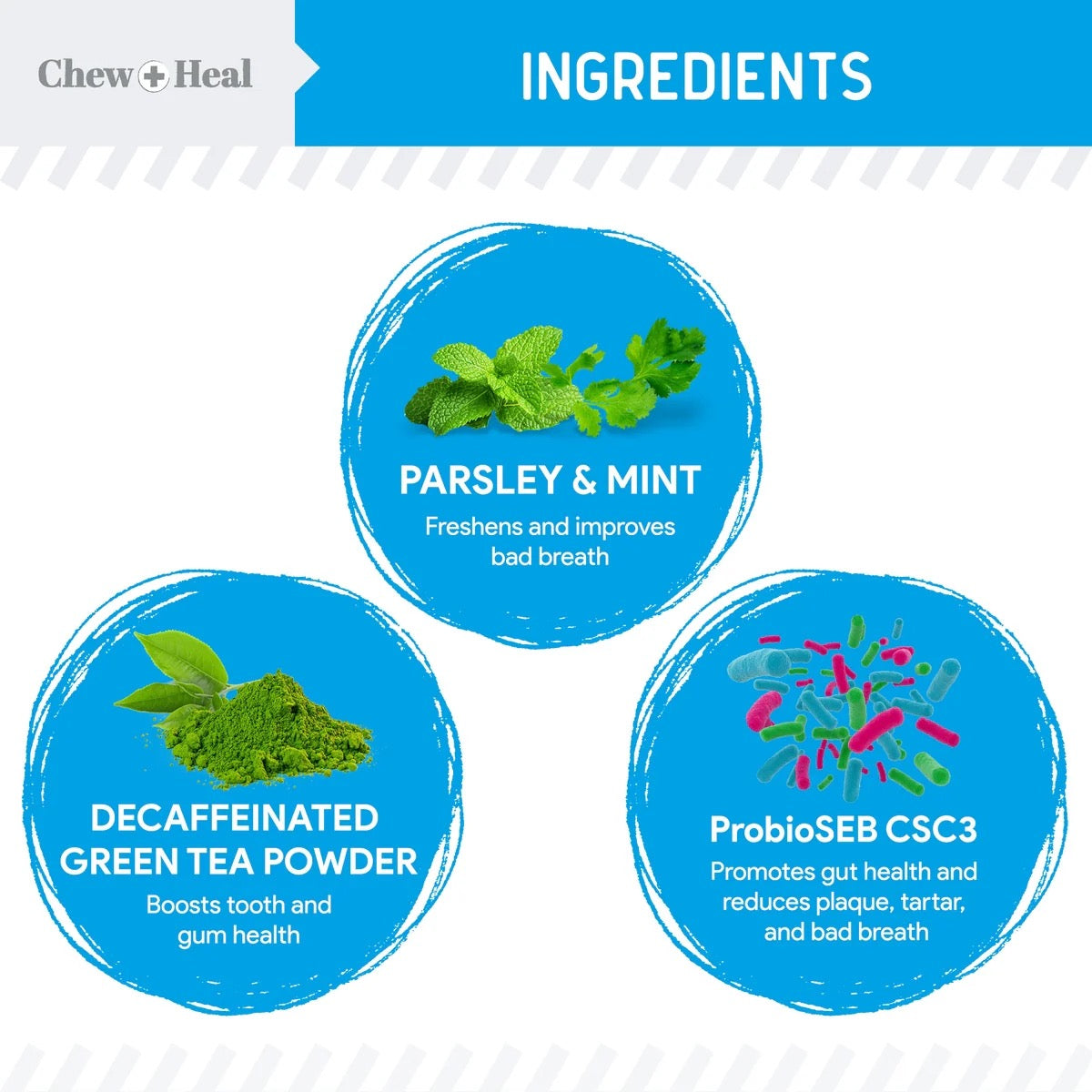 Chew + Heal Advanced Dental Support Powder with 6 Actives for Dogs 4oz