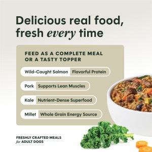 Instinct Freshly Crafted Meals Pork & Salmon Dog Food (11oz)