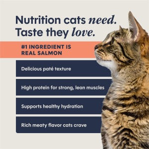 Instinct Pate Grain Free Salmon Split Cup Cat Food (2.64oz)