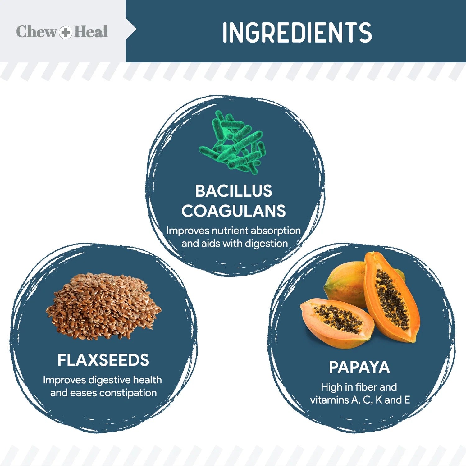 Chew + Heal Digestive Enzymes with Probiotics 120 Soft Chews