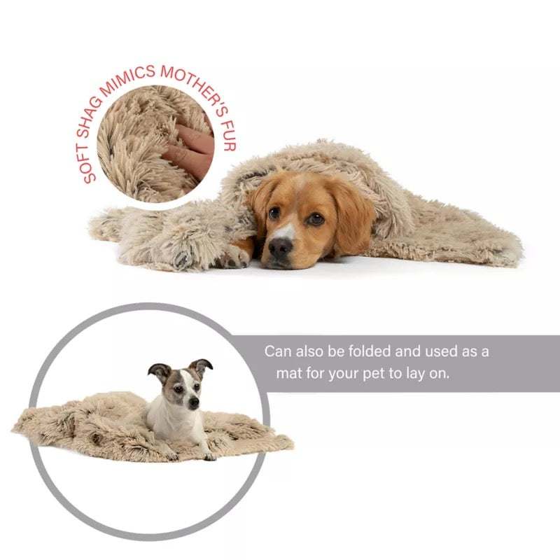 Best Friends by Sheri Blanket Shag Taupe 30x40
