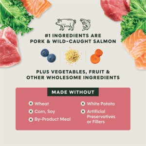 Instinct Freshly Crafted Meals Pork & Salmon Dog Food (11oz)