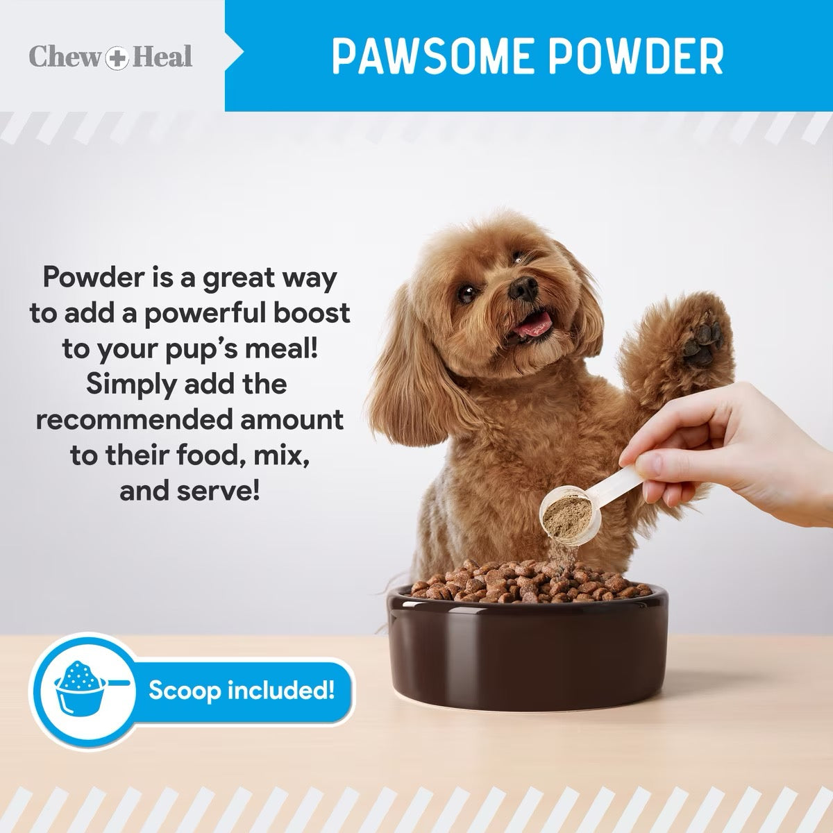Chew + Heal Advanced Dental Support Powder with 6 Actives for Dogs 4oz