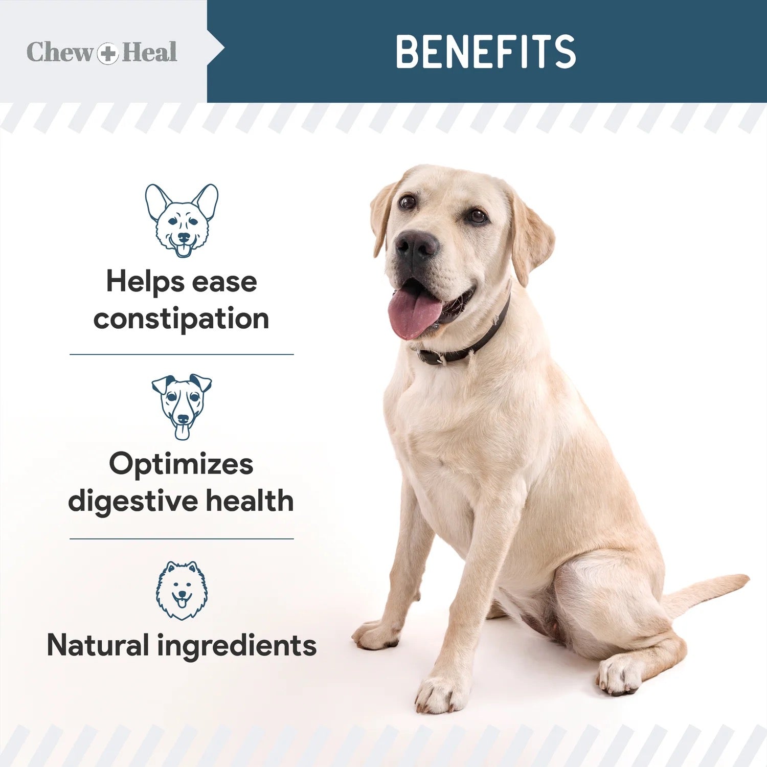 Chew + Heal Digestive Enzymes with Probiotics 120 Soft Chews