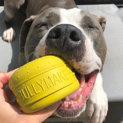 BullyMake Toss N' Treat Cheeseburger Dog Chew Toy