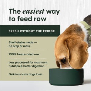 Instinct FreshDried Raw Meals Pollock Dog Food
