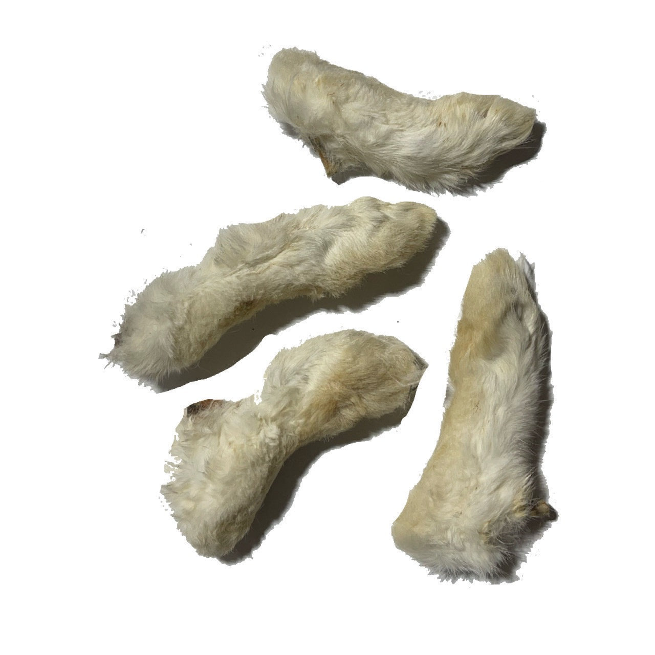 Scoochie Rabbit foot with Hair (4 Pack)
