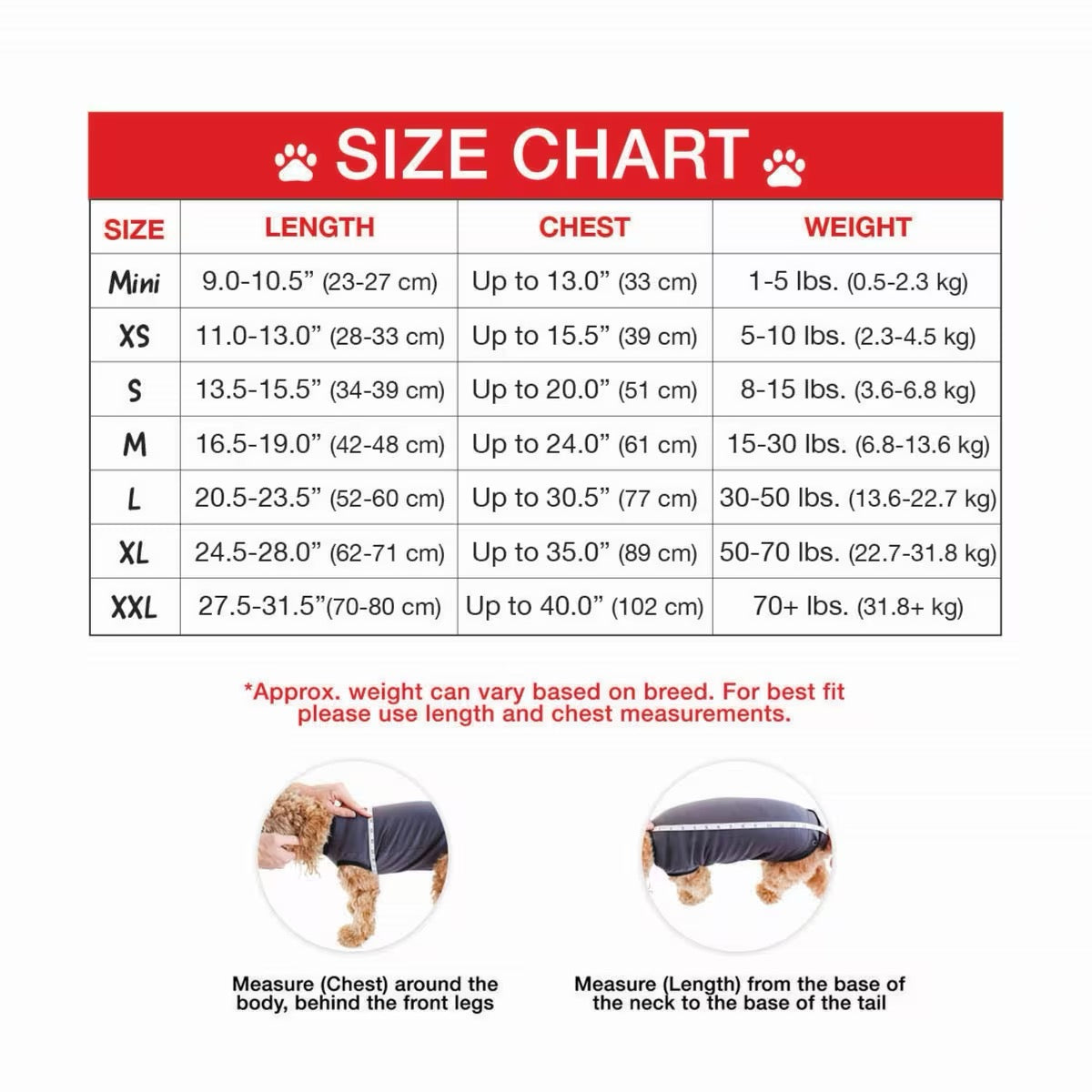 BellyGuard Recovery Suit For Dogs - Grey