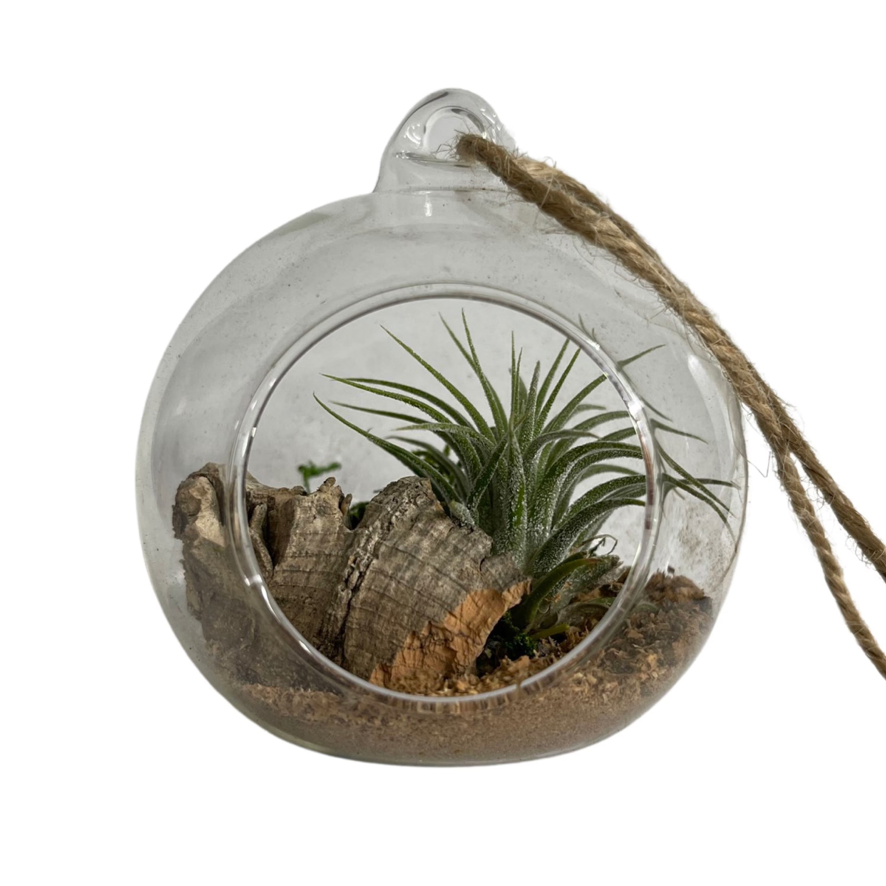 Micro Cork Bark Bits