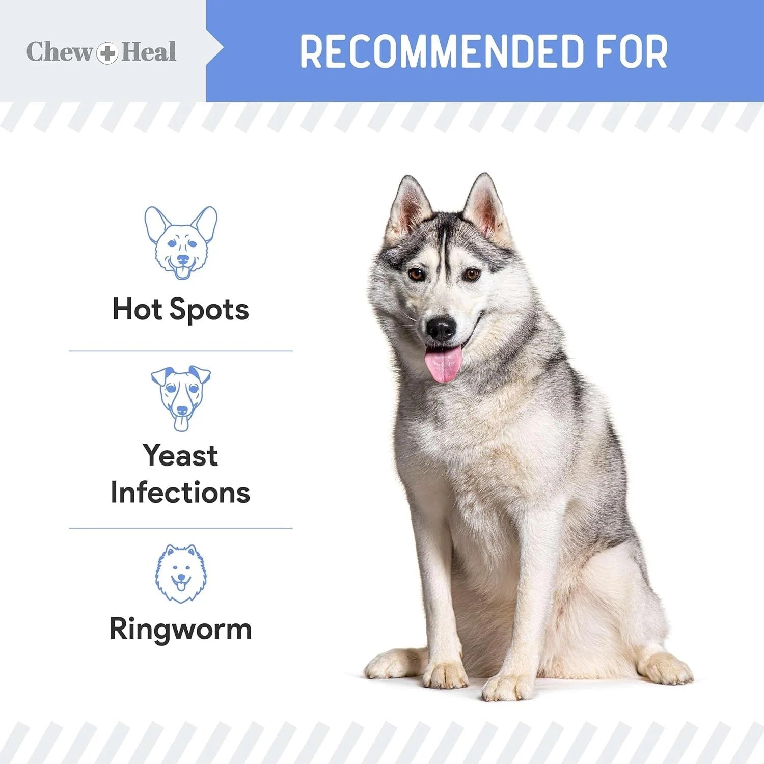 Chew + Heal Advanced Chlorhexidine Medicated Wound Care Spray for Dogs 4oz