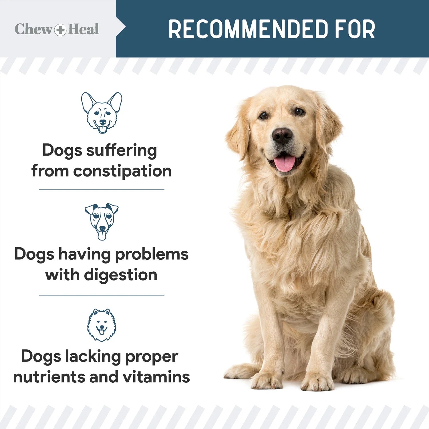 Chew + Heal Digestive Enzymes with Probiotics 120 Soft Chews