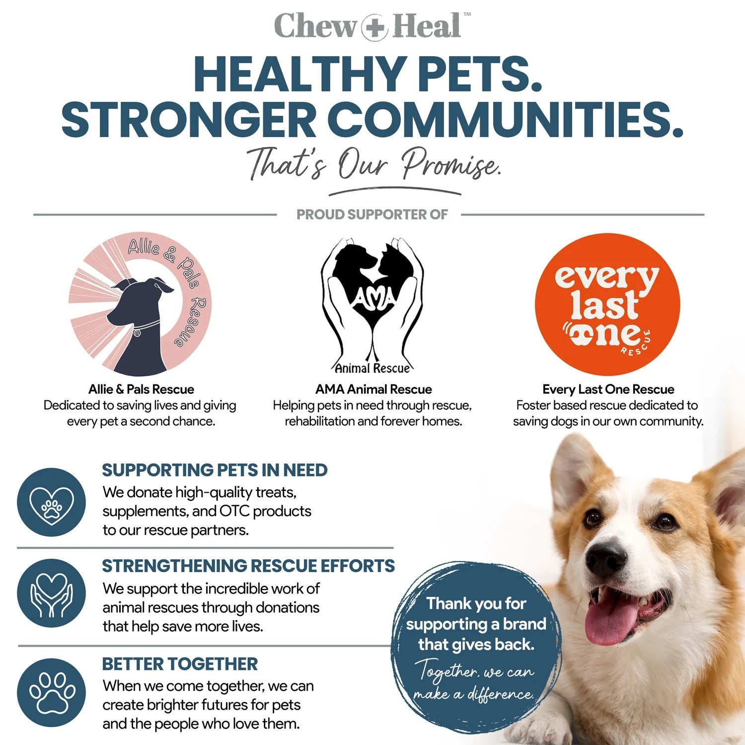 Chew + Heal Digestive Enzymes with Probiotics 120 Soft Chews