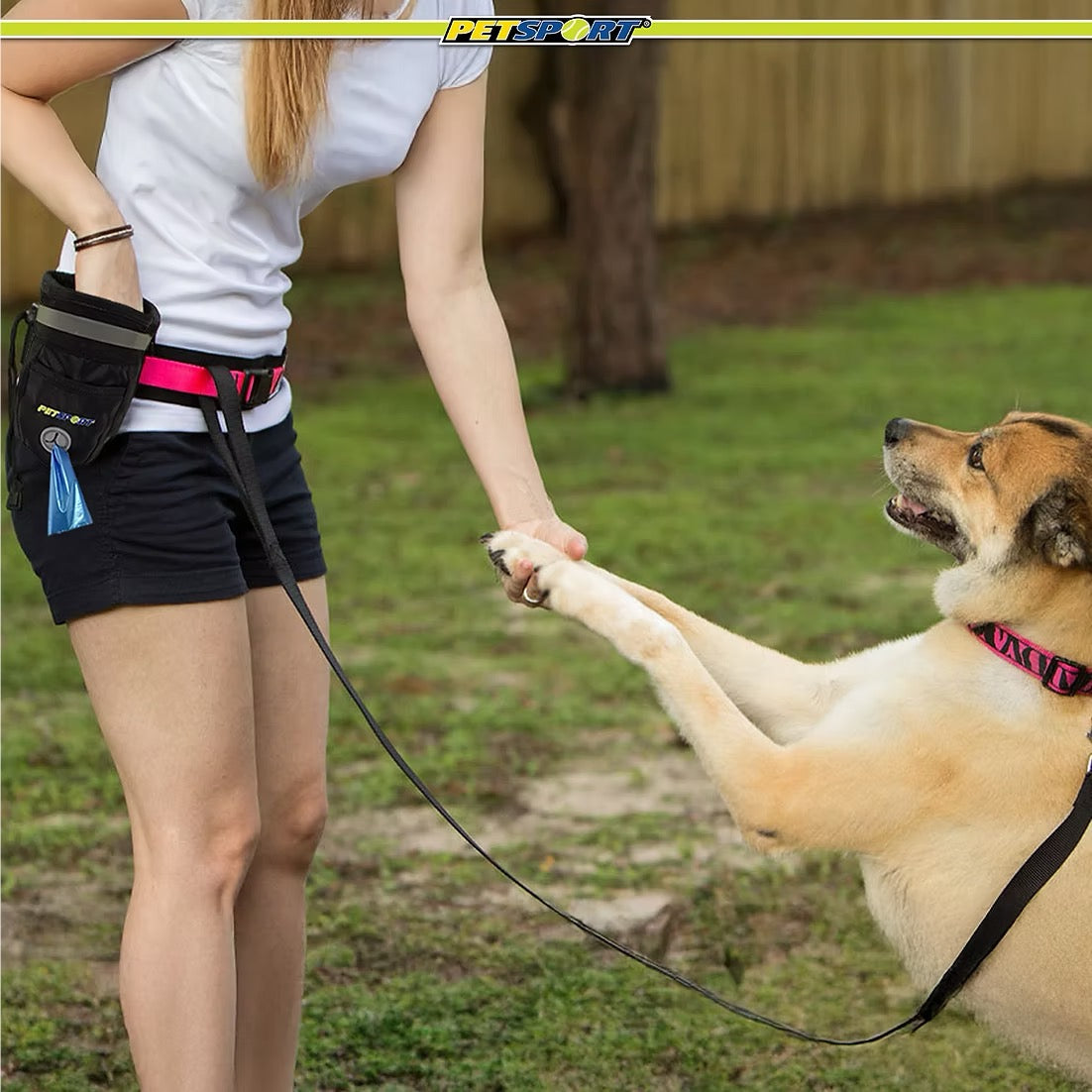 Petsport Bisucit Buddy Treat Pouch with Bag Dispenser