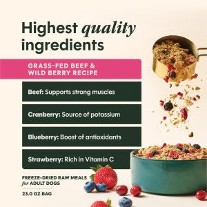 Instinct Fresh Dried Meal Blends Freeze Dried Beef & Wild Berries Dog Food (3oz)