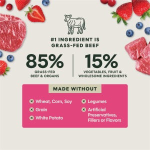 Instinct Fresh Dried Meal Blends Freeze Dried Beef & Wild Berries Dog Food (3oz)