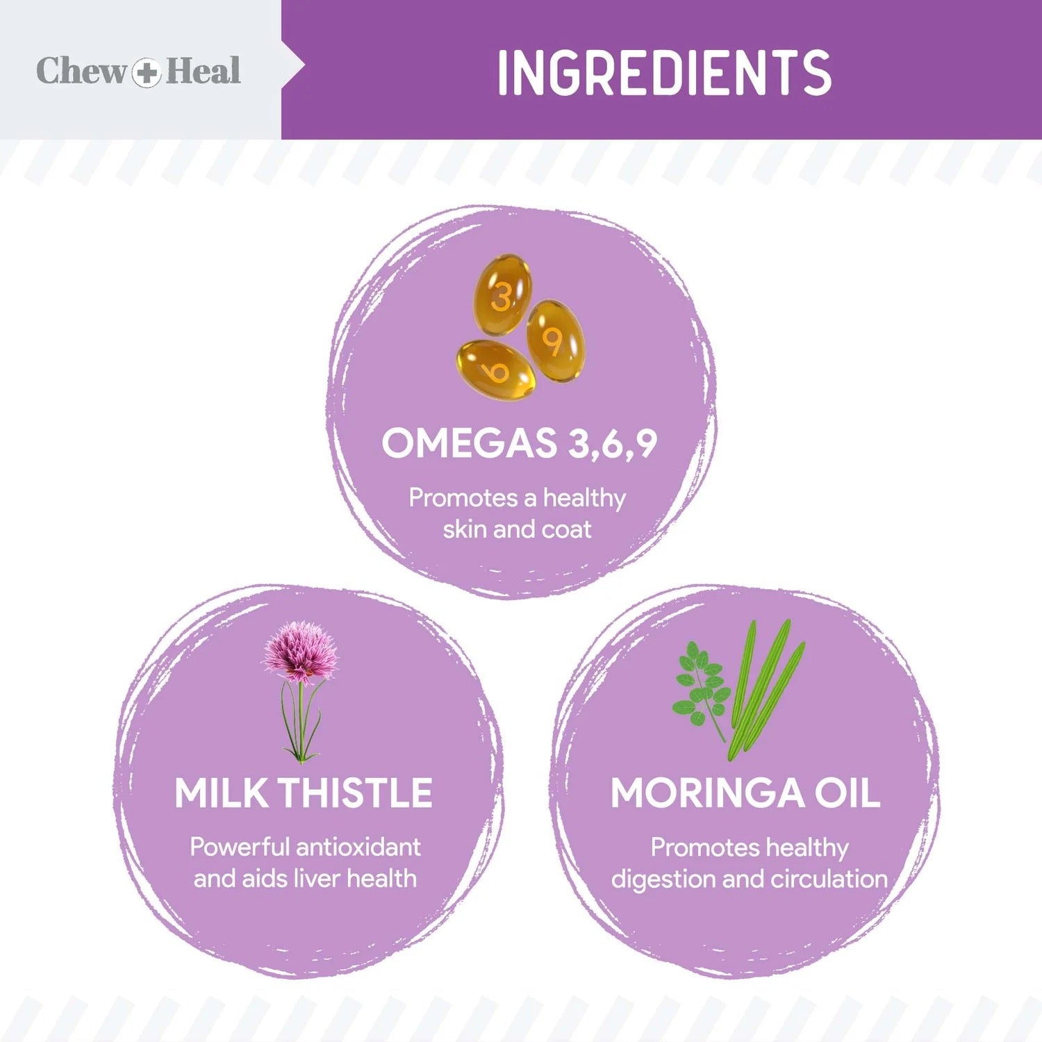 Chew + Heal Milk Thistle Tincture with Moringa & Salmon Oil for Dogs 2oz