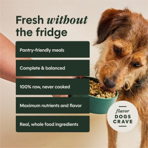Instinct Fresh Dried Meal Blends Freeze Dried Beef & Wild Berries Dog Food (3oz)