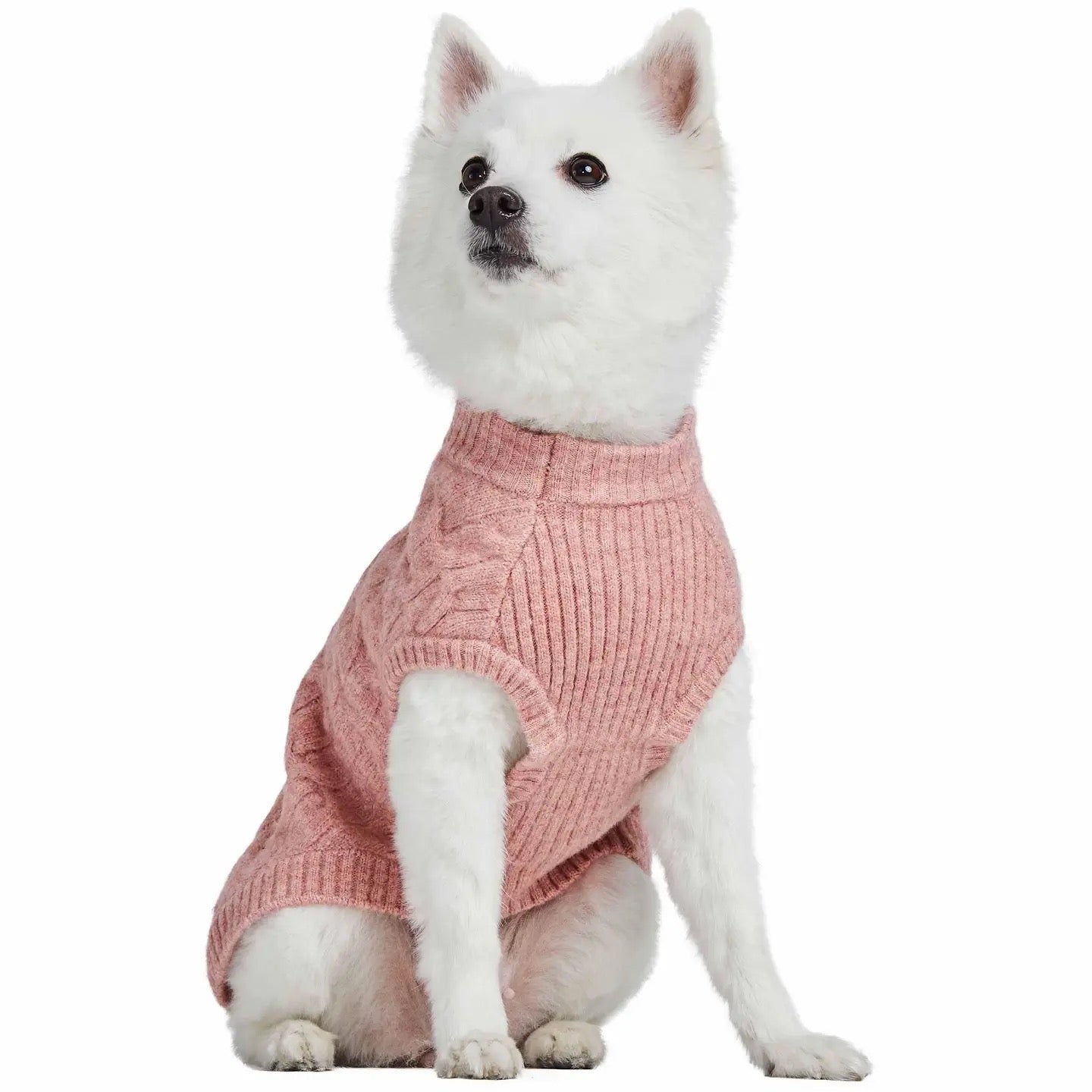 Blueberry Pet Crew-neck Fuzzy Textured Knit Dog Sweater | Rainbow Pink