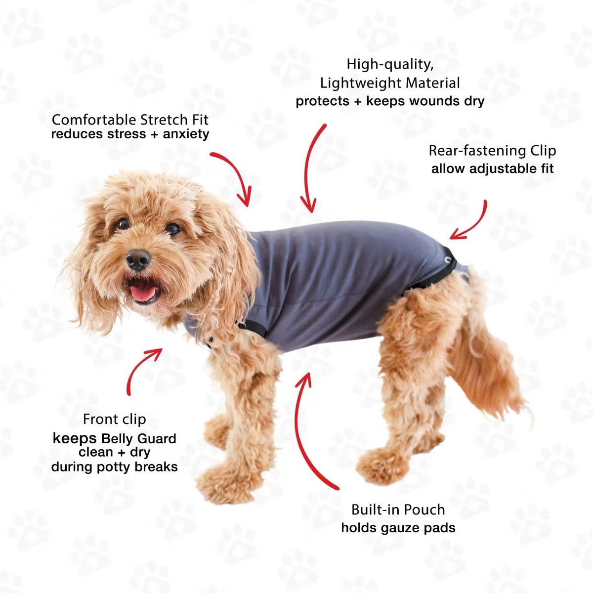 BellyGuard Recovery Suit For Dogs - Grey