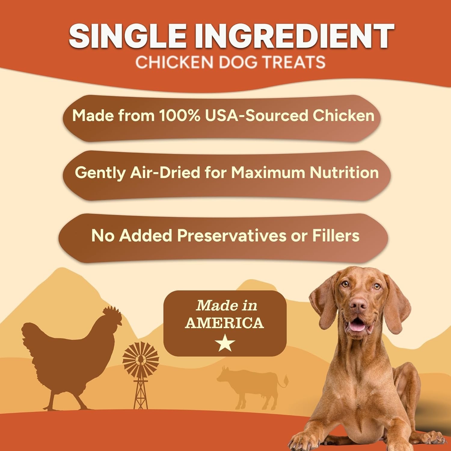 Gaines Family Farmstead Air Dried Chicken Chips (5oz)