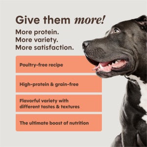Instinct Peak Boost Grain Free High Protein Salmon Dry Dog Food