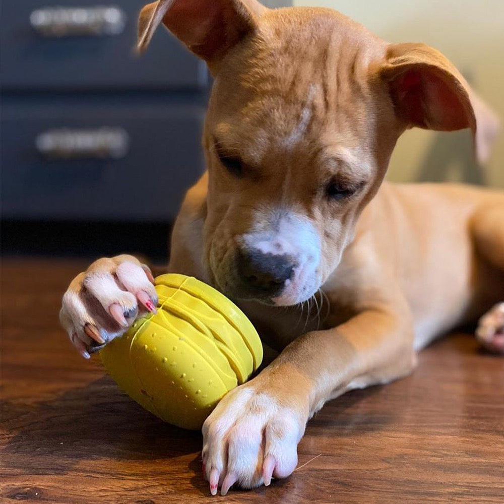 BullyMake Toss N' Treat Cheeseburger Dog Chew Toy