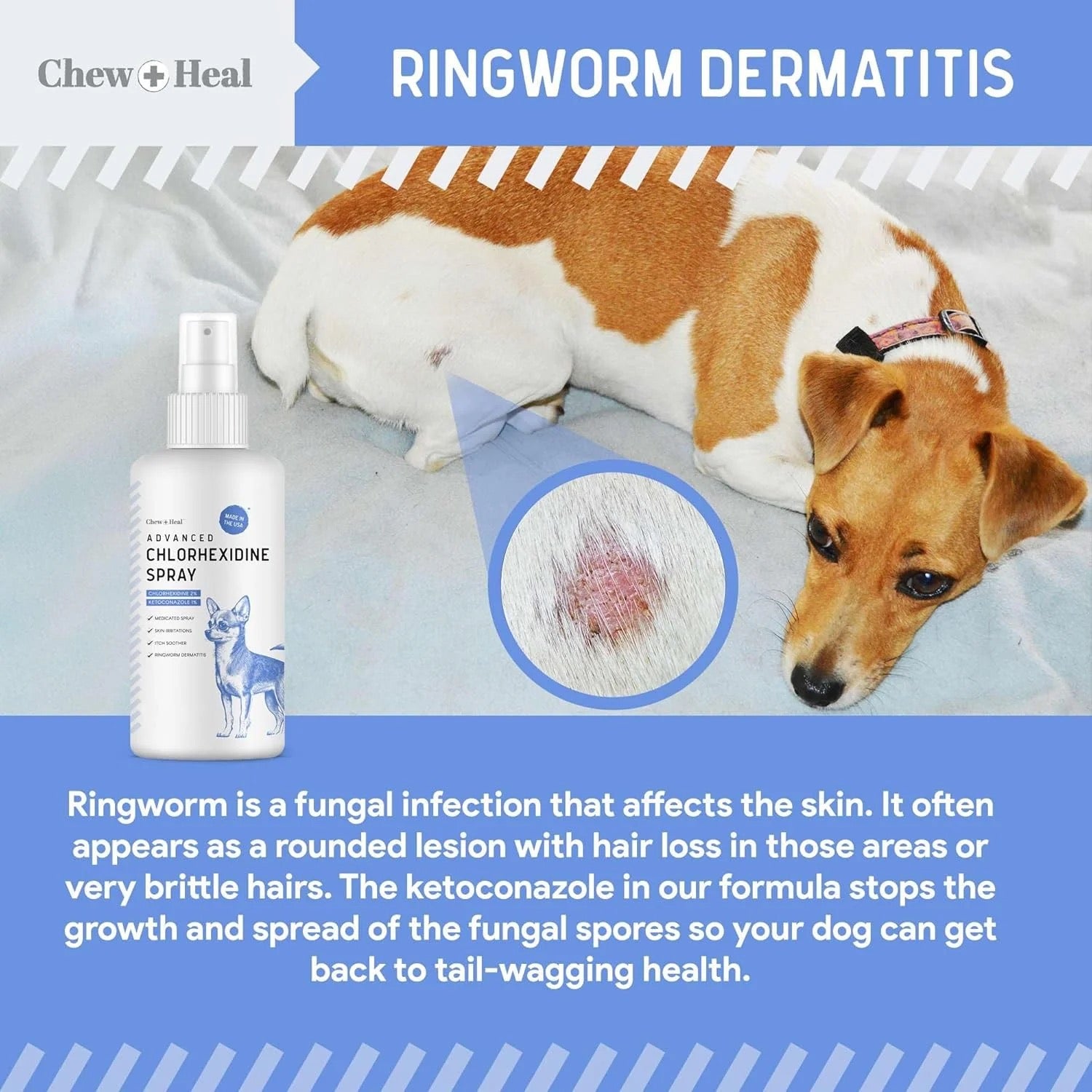 Chew + Heal Advanced Chlorhexidine Medicated Wound Care Spray for Dogs 4oz