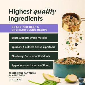 Instinct Fresh Dried Meal Blends Freeze Dried Beef & Orchard Blend Dog Food (3oz)