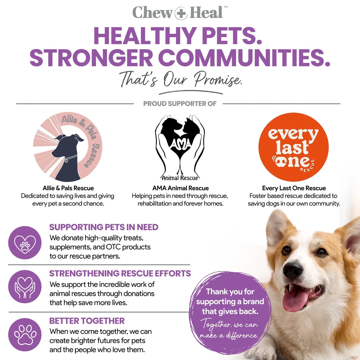Chew + Heal Milk Thistle Tincture with Moringa & Salmon Oil for Dogs 2oz