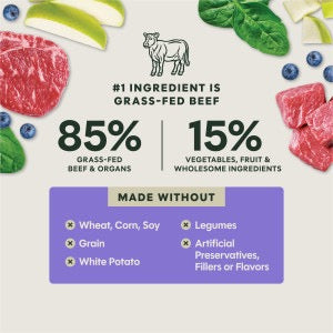 Instinct Fresh Dried Meal Blends Freeze Dried Beef & Orchard Blend Dog Food (3oz)