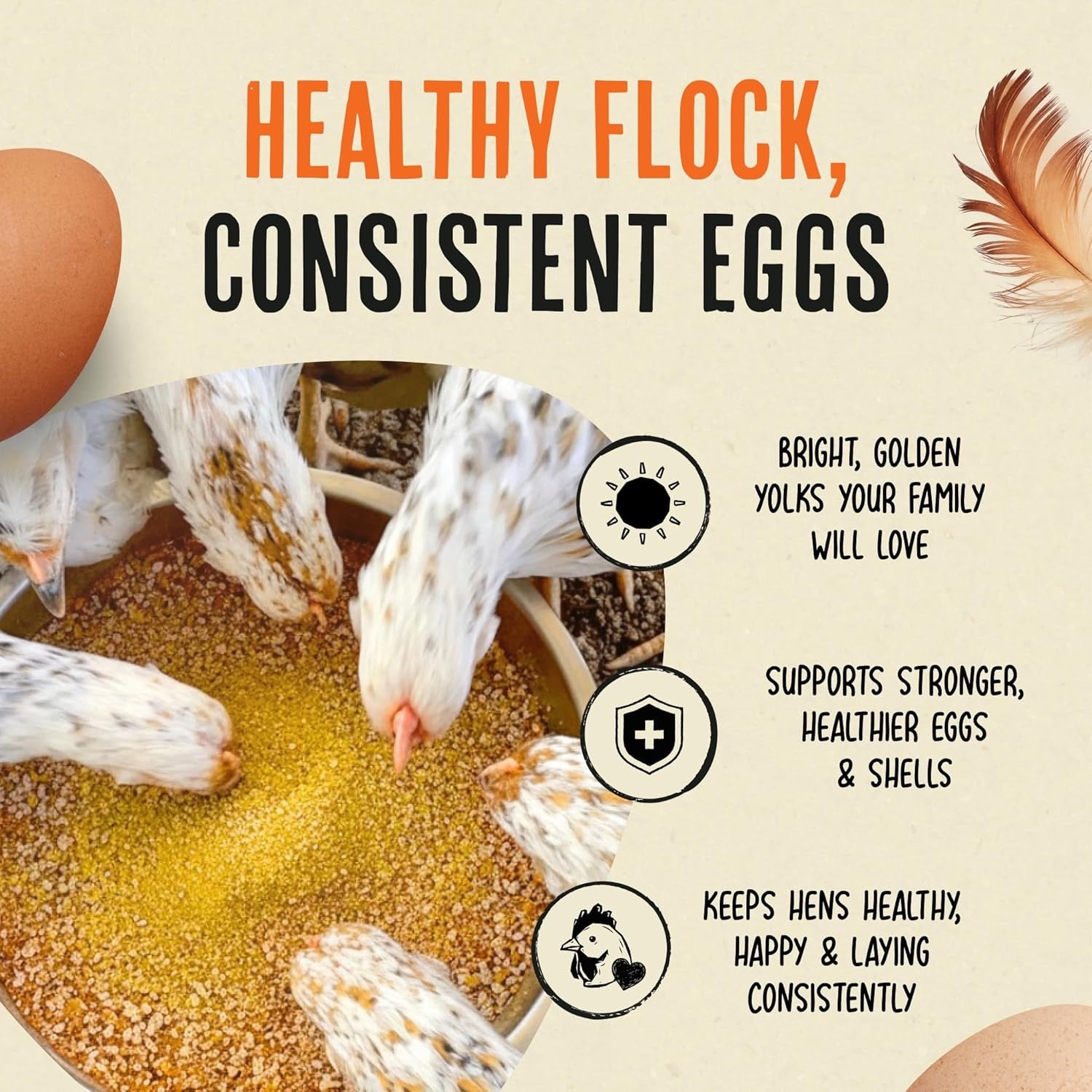 Roosty's Gold Dust | Daily Egg Booster for Poultry 1lb