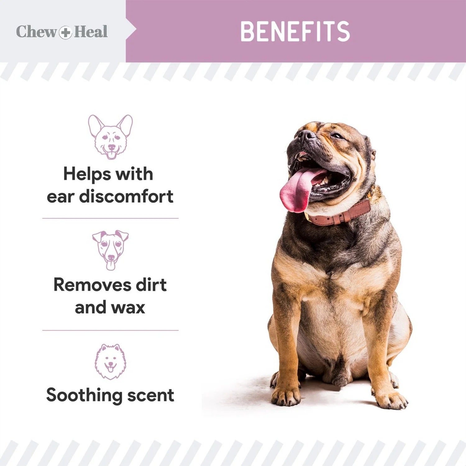 Chew + Heal Advanced Chlorhexidine Ear Flush for Dogs 4oz