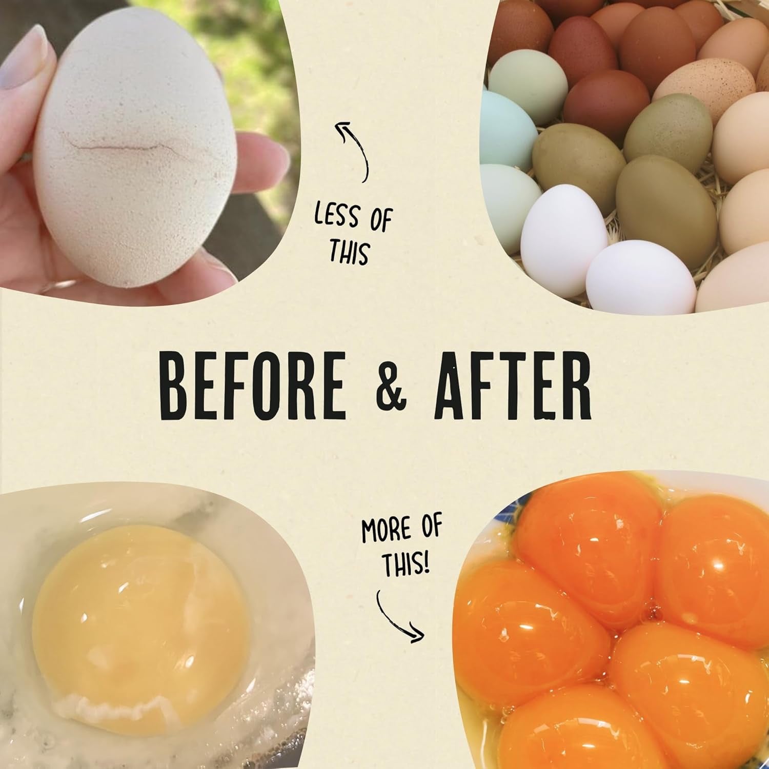 Roosty's Gold Dust | Daily Egg Booster for Poultry 1lb