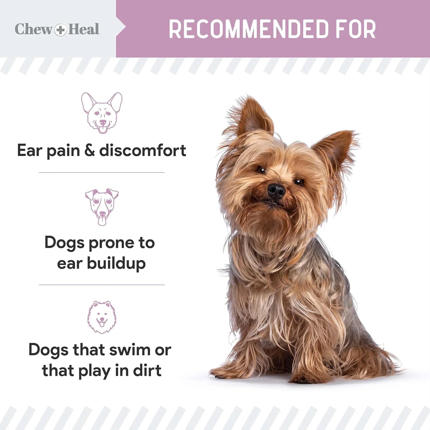 Chew + Heal Advanced Chlorhexidine Ear Flush for Dogs 4oz