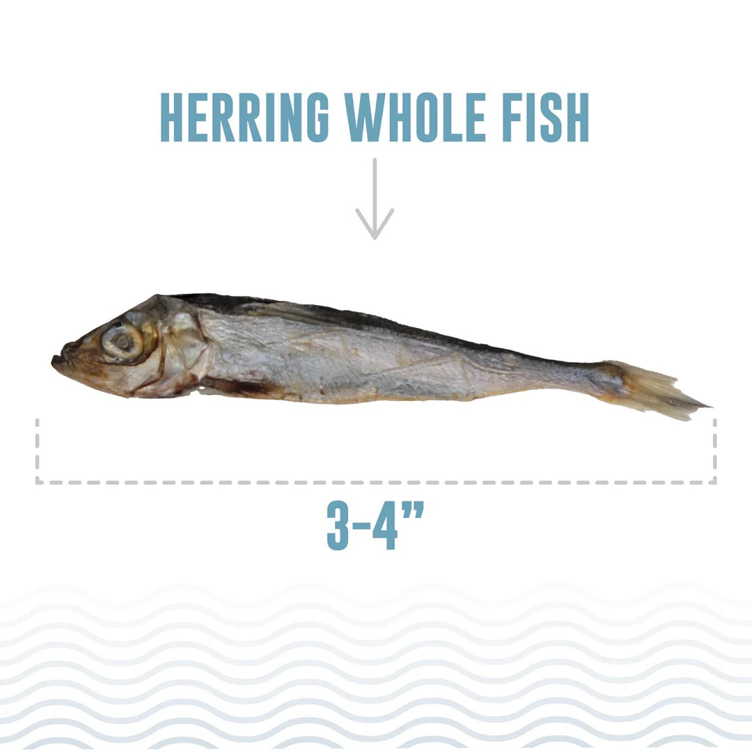 Icelandic Herring Whole Fish Cat Treats (1oz)
