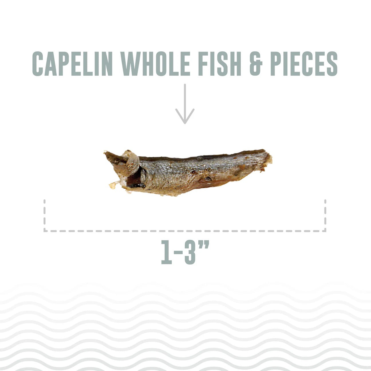 Icelandic Capelin Whole Fish & Pieces Cat Treats (1.5oz)
