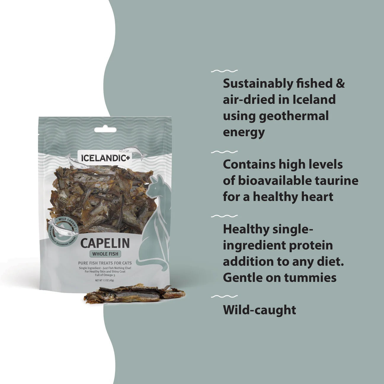 Icelandic Capelin Whole Fish & Pieces Cat Treats (1.5oz)