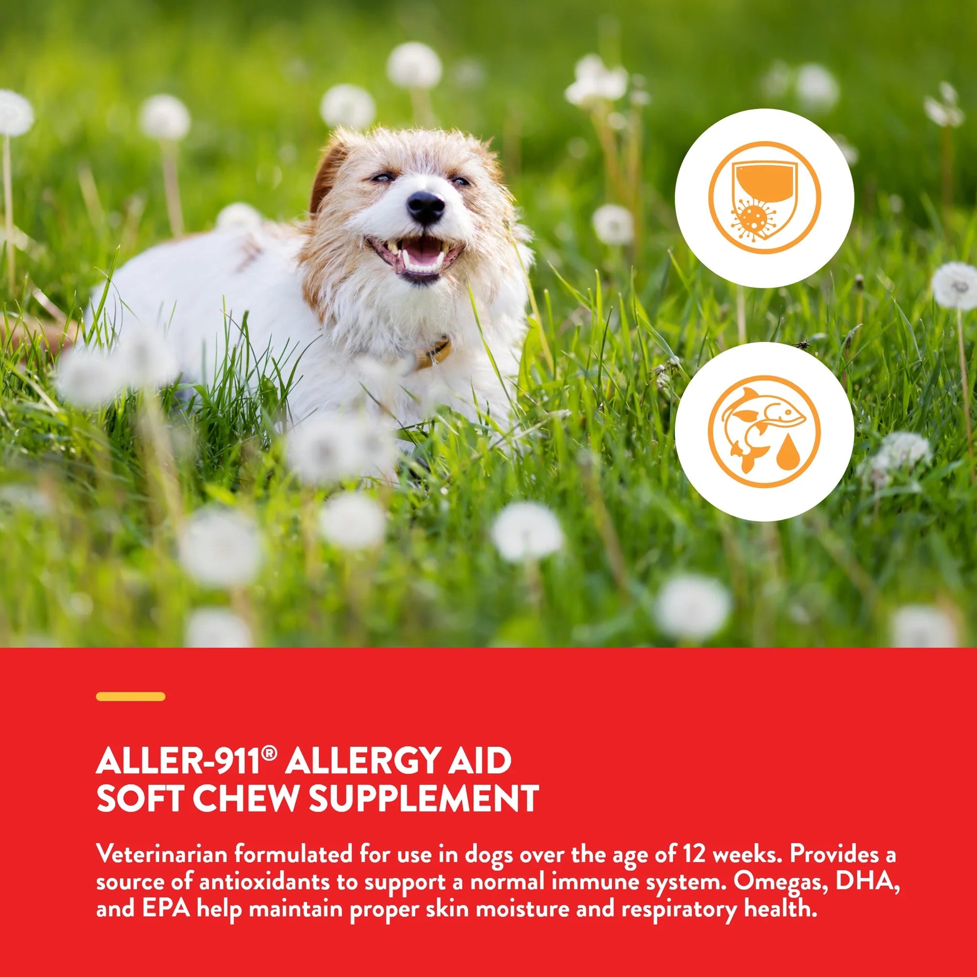 Naturvet Aller-911 Antioxidant Chew