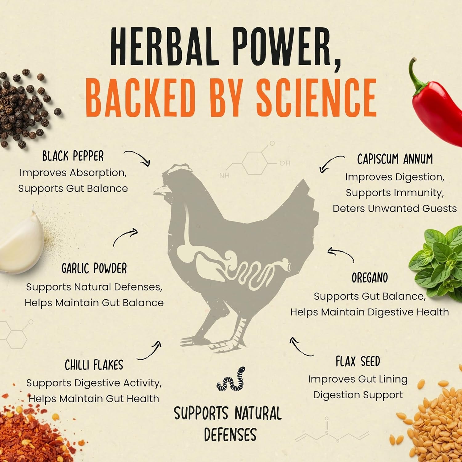 Roosty's Flock Armor | Daily Chicken Dewormer | Flock Gut Support 1lb