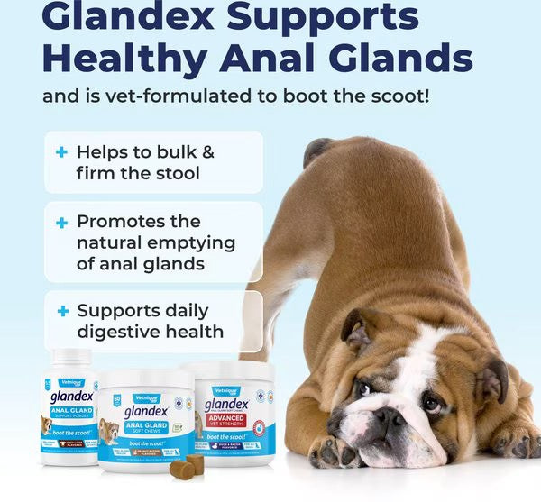 Glandex Anal Gland Support Soft Chew Peanut Butter Flavor (60ct)