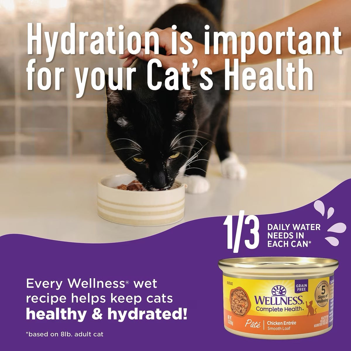 Wellness Complete Health Grilled Tuna, Mackerel, & Shrimp Wet Cat (3oz)
