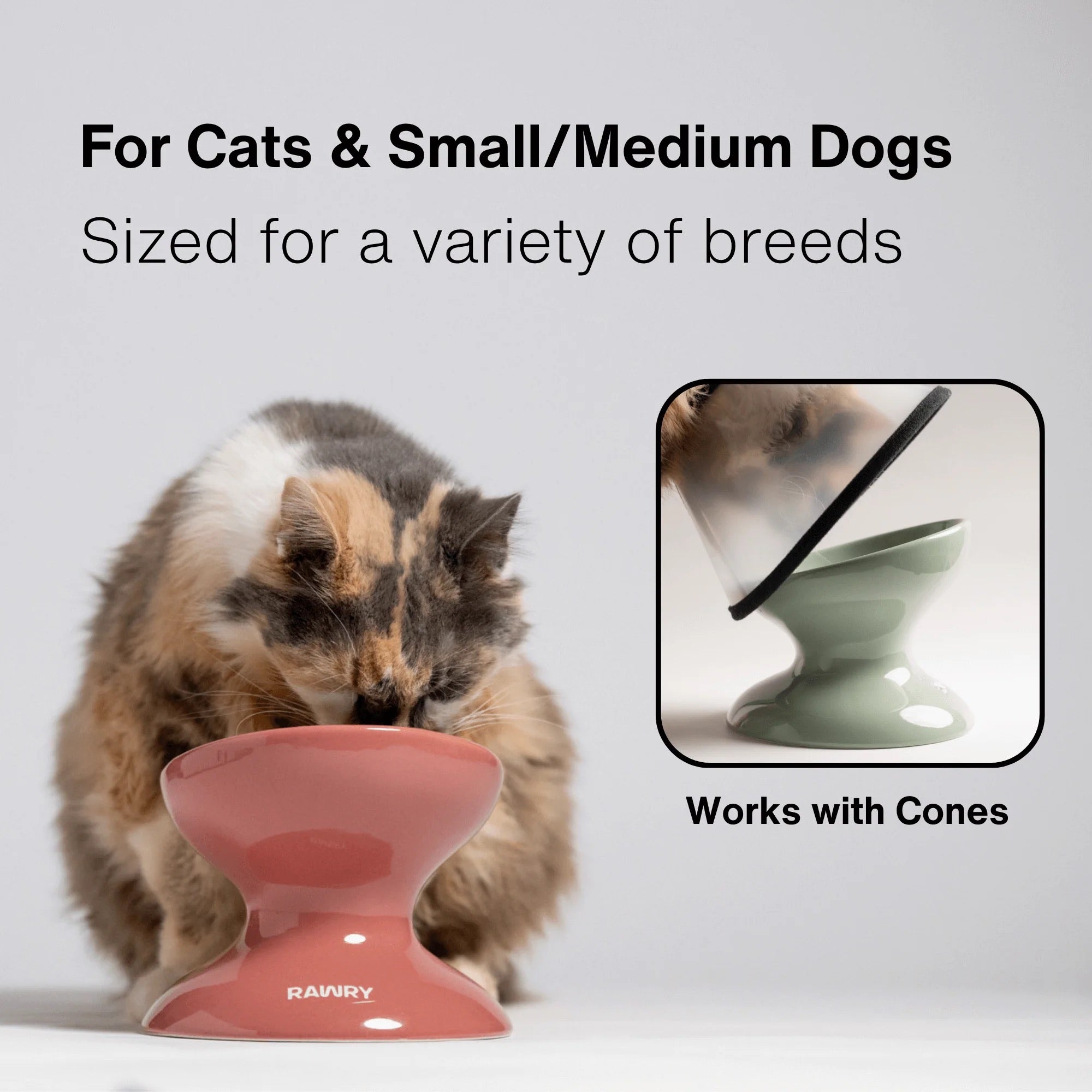 Rawry Elevated Tilted Ceramic Pet Bowl (Plum)