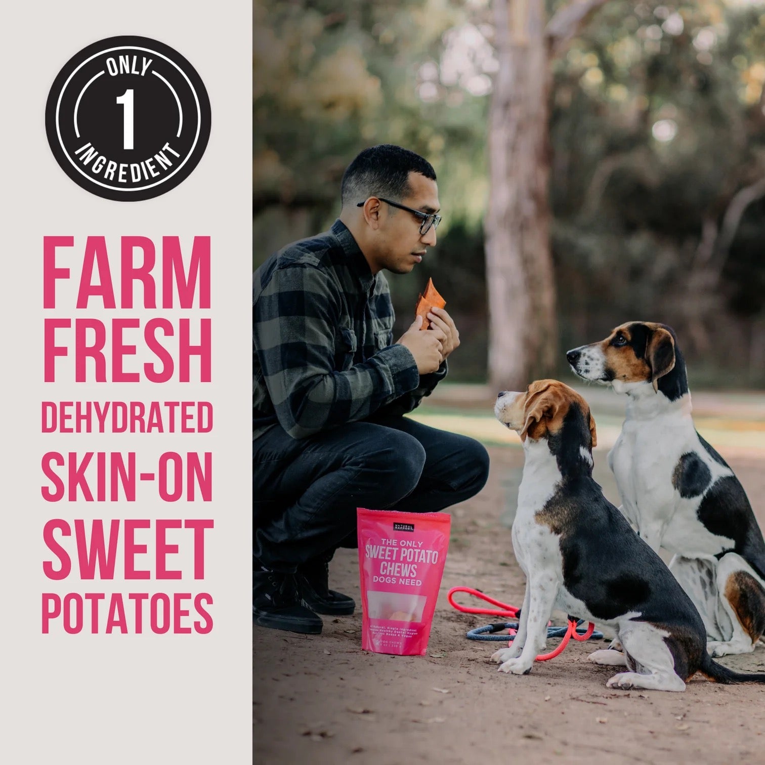 Natural Rapport The Only Dehydrated Sweet Potato Bites Dogs Need Dog Treats (8oz)