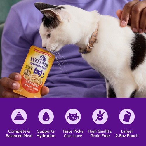 Wellness Appetizing Entrees Shredded Chicken & Egg Cat Pouch (2.8oz)