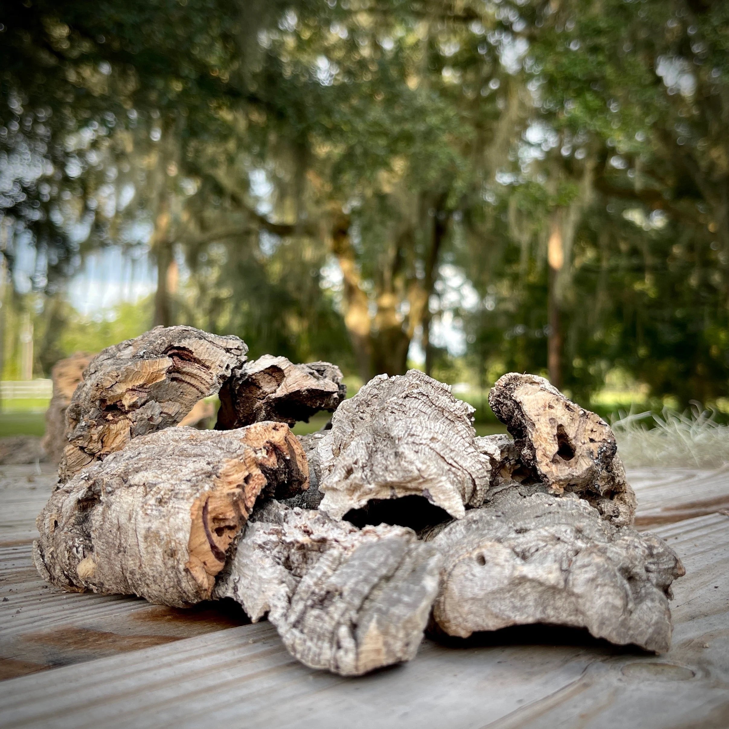 Micro Cork Bark Bits