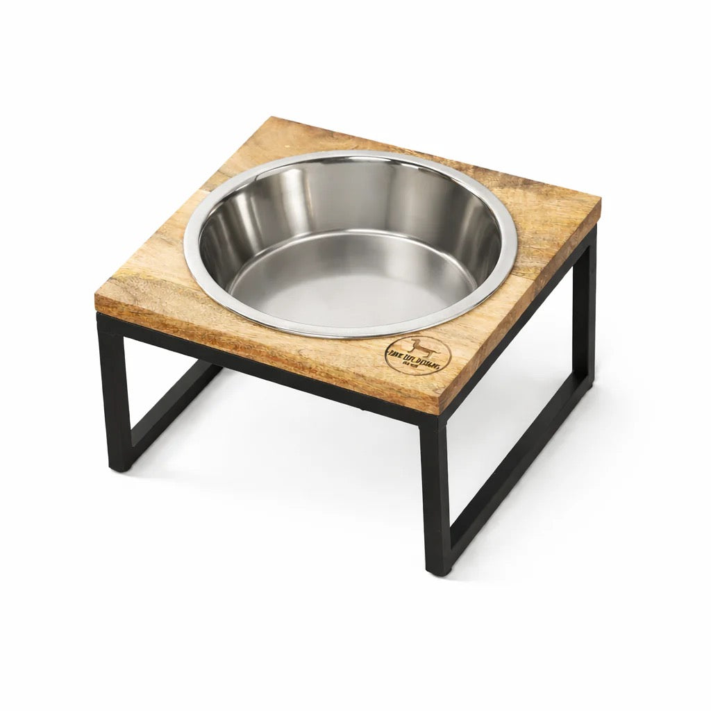 Park Life Designs Hearth and Haven Elevated Single Feeder Bowl