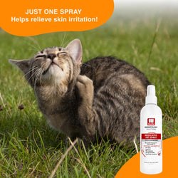 Nootie Antimicrobial Medicated Pet Spray (8oz)