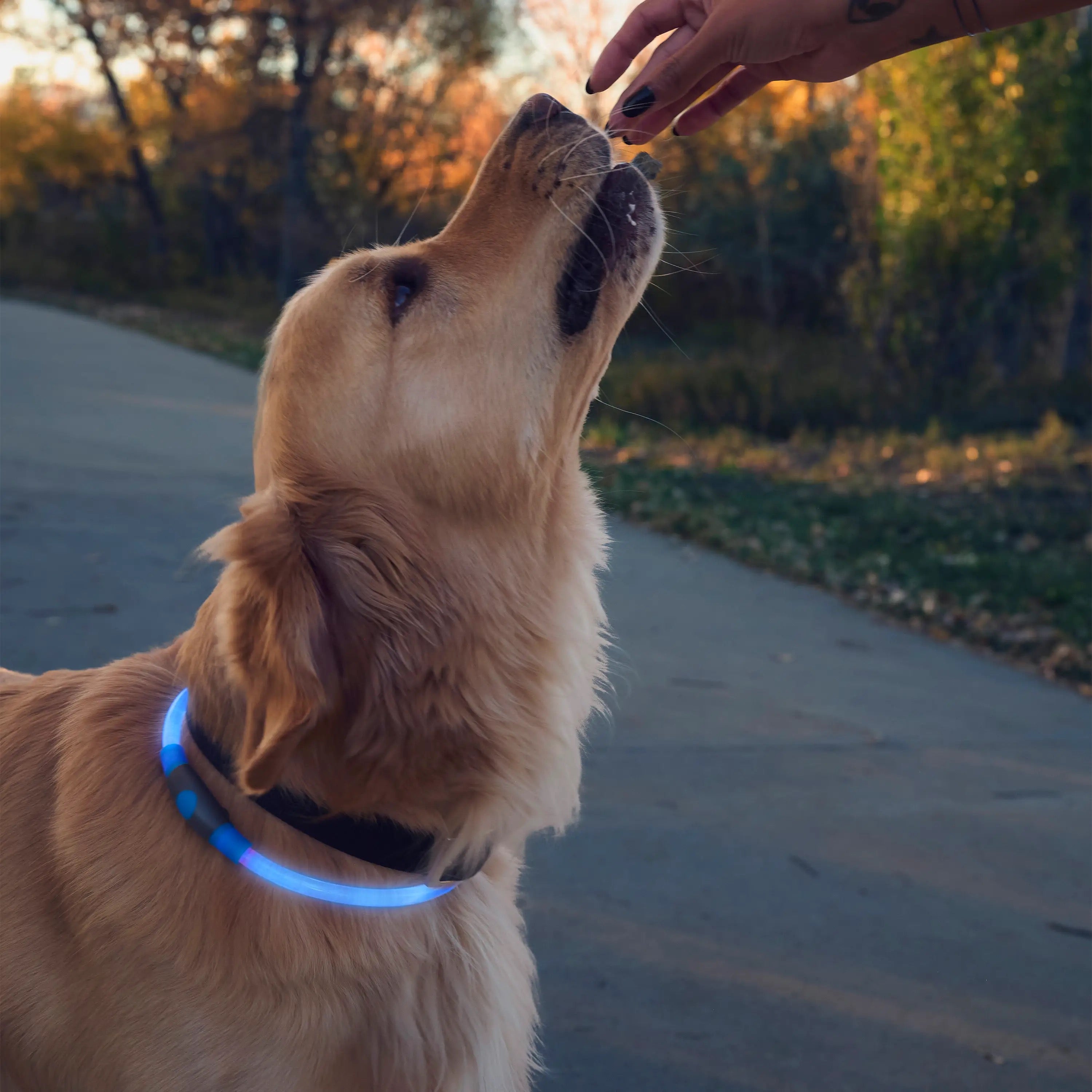 Nite Ize NiteHowl® Rechargeable LED Safety Necklace
