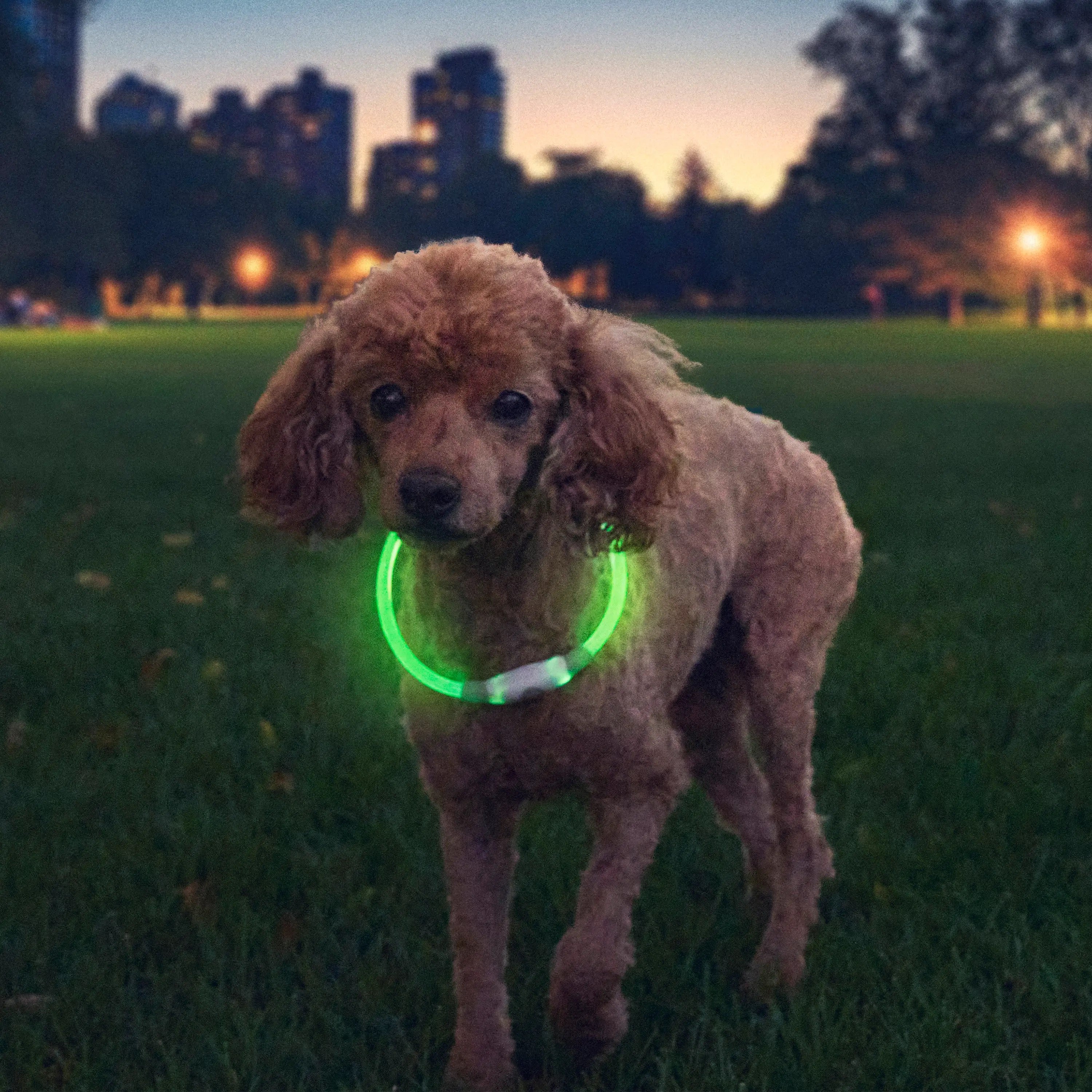 Nite Ize NiteHowl® Rechargeable LED Safety Necklace