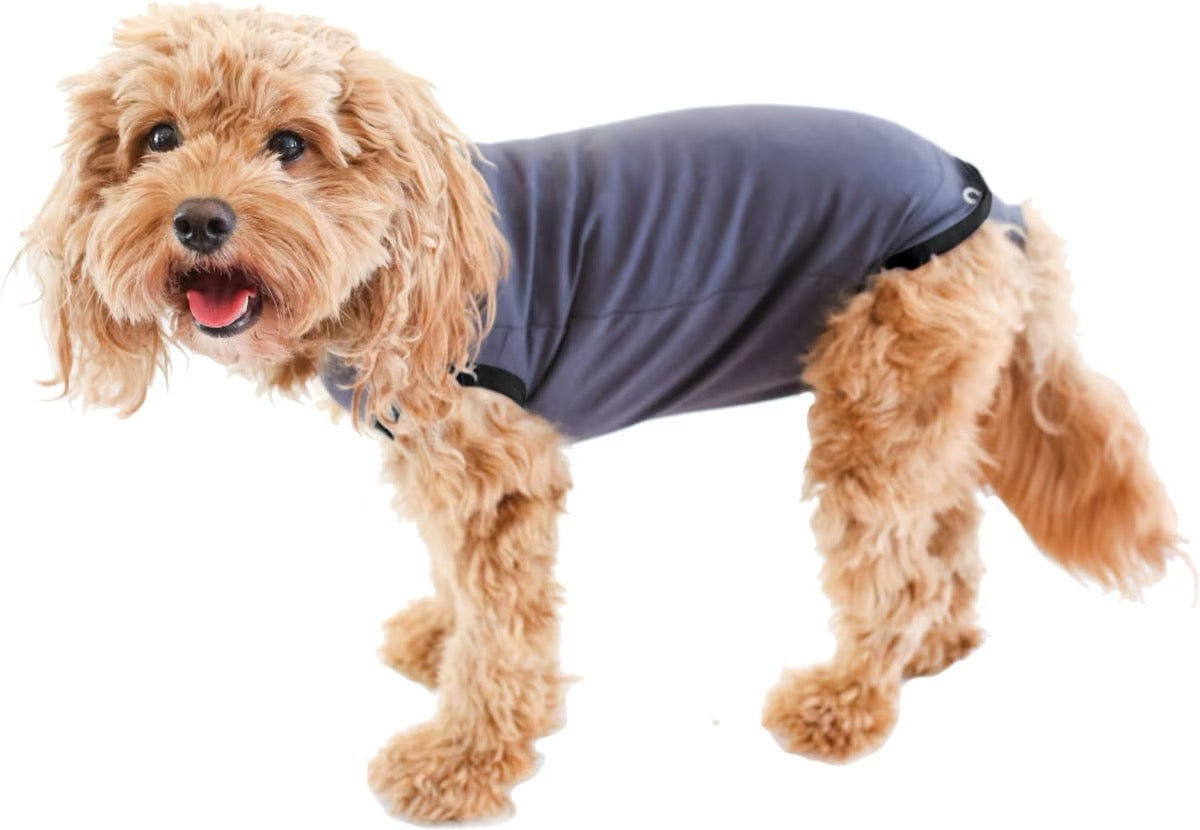BellyGuard Recovery Suit For Dogs - Grey